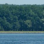 Photos and Recap – Week 3 of Nancy Blackett’s Dutch Adventure