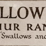 Sign up now for June’s marathon reading of Swallowdale in Windermere